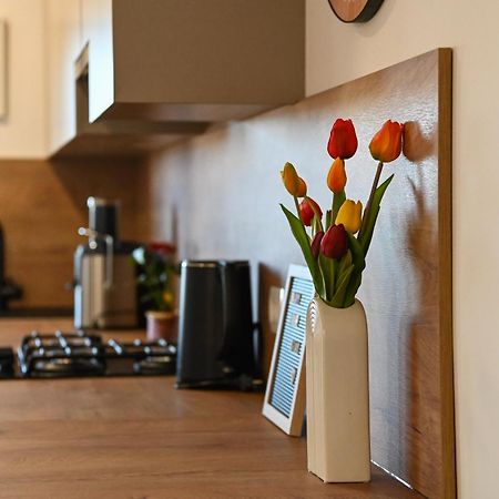 Veliki Apartman Petra Posedarje Exteriör bild